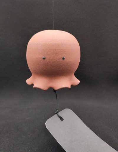 Furin poulpe ©Phaedra BOUVET